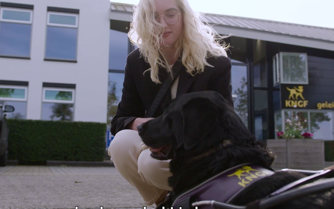 NS : Bijzonder Vervoer (2022)