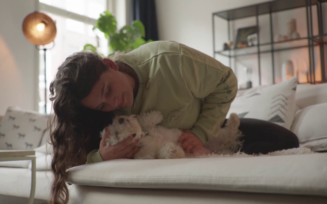 Cloud Doodles Brand Video- Italian Dog Accessories Brand (2024)